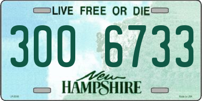NH license plate 3006733