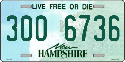 NH license plate 3006736