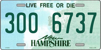NH license plate 3006737