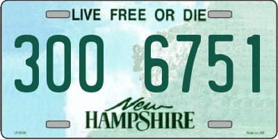 NH license plate 3006751
