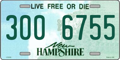 NH license plate 3006755