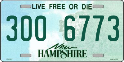 NH license plate 3006773