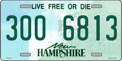 NH license plate 3006813