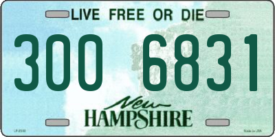 NH license plate 3006831