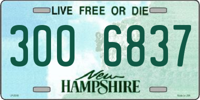 NH license plate 3006837