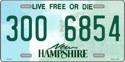 NH license plate 3006854