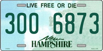 NH license plate 3006873