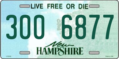 NH license plate 3006877