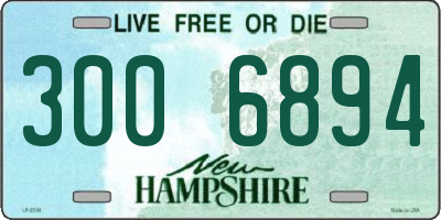 NH license plate 3006894