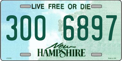 NH license plate 3006897