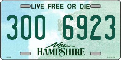 NH license plate 3006923