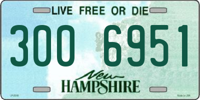 NH license plate 3006951