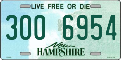 NH license plate 3006954