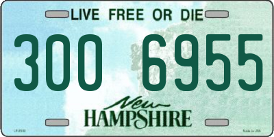 NH license plate 3006955