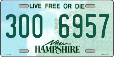 NH license plate 3006957