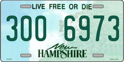 NH license plate 3006973