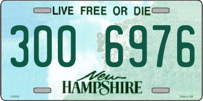 NH license plate 3006976