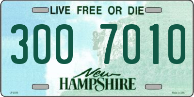 NH license plate 3007010