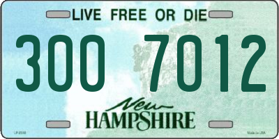NH license plate 3007012