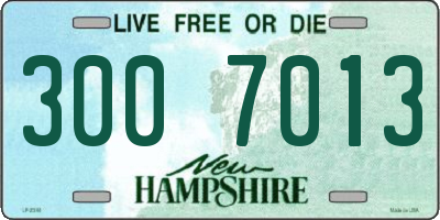 NH license plate 3007013