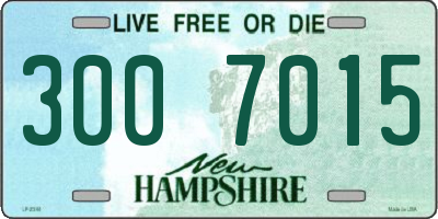 NH license plate 3007015