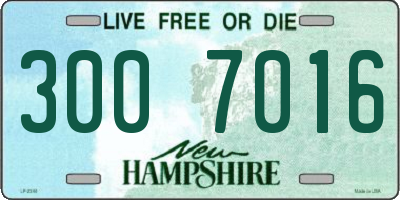 NH license plate 3007016