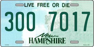 NH license plate 3007017
