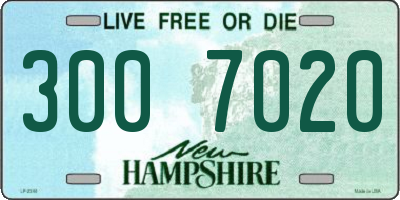 NH license plate 3007020