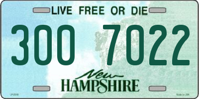 NH license plate 3007022