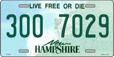 NH license plate 3007029