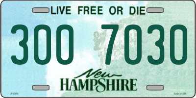 NH license plate 3007030