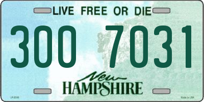 NH license plate 3007031