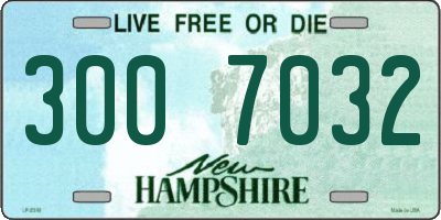 NH license plate 3007032