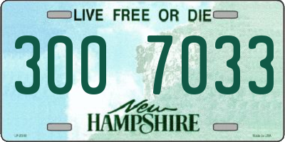 NH license plate 3007033