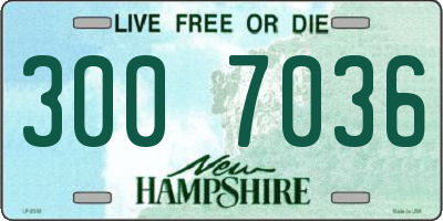NH license plate 3007036