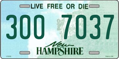 NH license plate 3007037