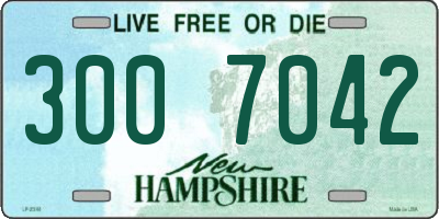 NH license plate 3007042