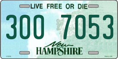 NH license plate 3007053
