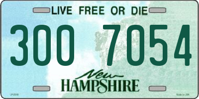 NH license plate 3007054