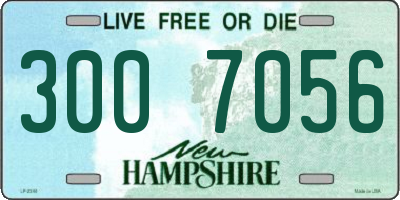 NH license plate 3007056