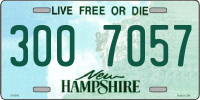 NH license plate 3007057