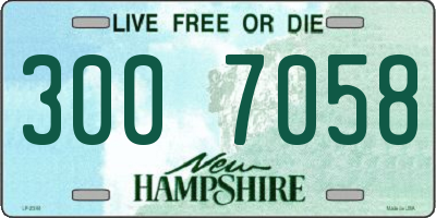 NH license plate 3007058