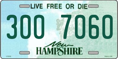 NH license plate 3007060