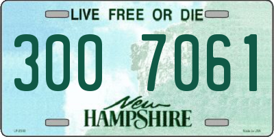 NH license plate 3007061