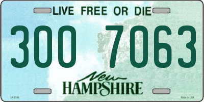 NH license plate 3007063