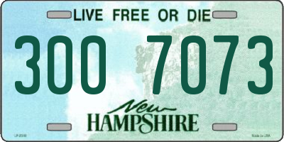 NH license plate 3007073