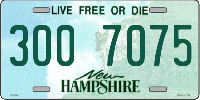 NH license plate 3007075