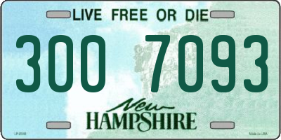 NH license plate 3007093