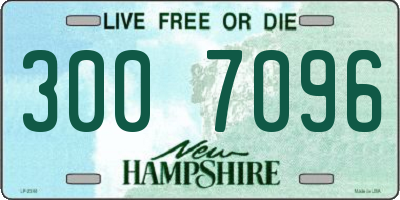 NH license plate 3007096