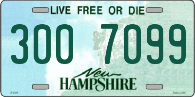 NH license plate 3007099